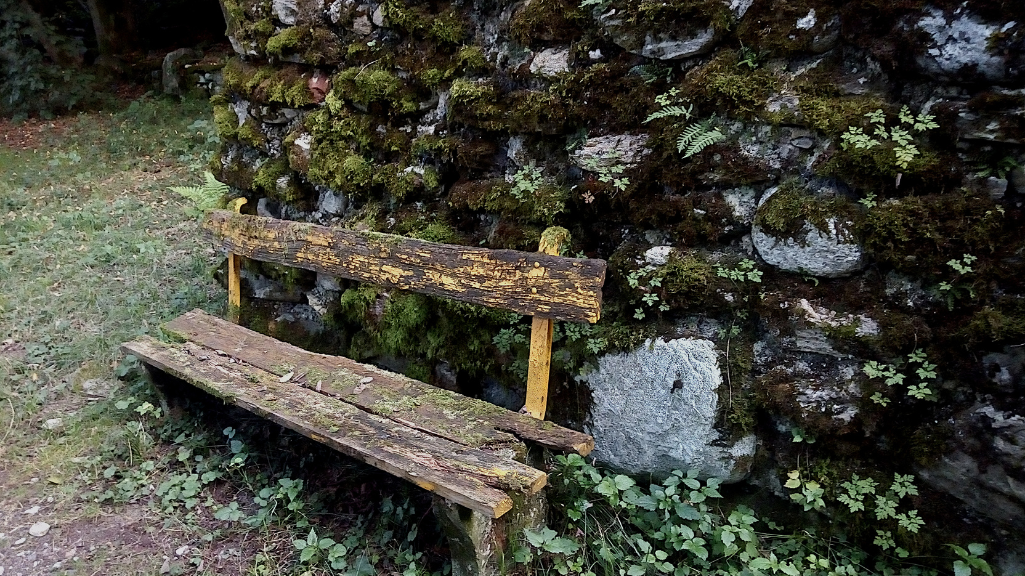 Tips pentru pregătirea grădinii tale verzi pentru sezonul de toamnă